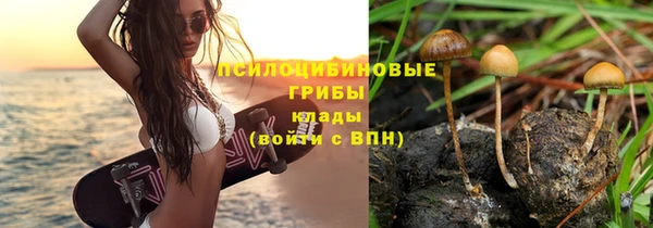 СК Киренск