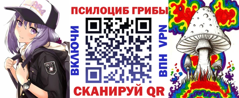 Псилоцибиновые грибы Cubensis Луга