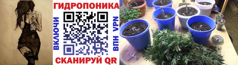 Купить закладки  Луга  Каннабис SATIVA & INDICA 